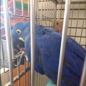 Meet your Posher, Mackenzie